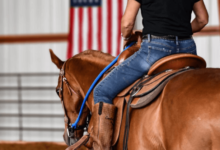 How can I train my horse for western pleasure?