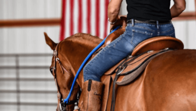 How can I train my horse for western pleasure?