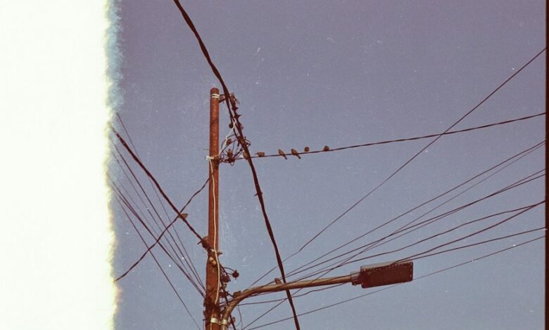 business support line number