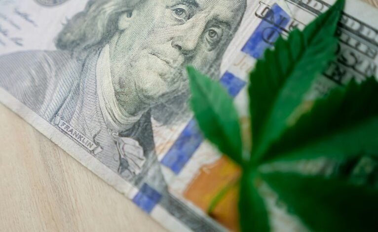 investing in cannabis industry