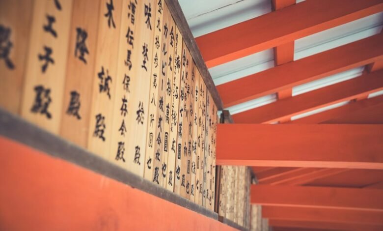 support phone number 8553927811