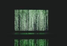 caller information request details