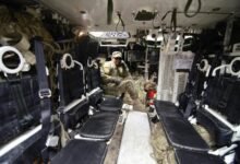 growth focused industry strategy