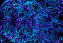 neural apex beam technology