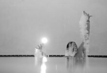 performance analysis momentum edge